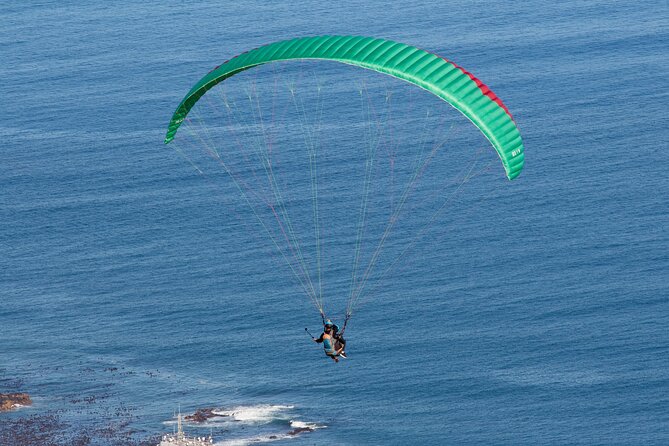 Private Tour: Cape of Good Hope and Boulders Beach Penguin Tour - Why this private Cape Town day works