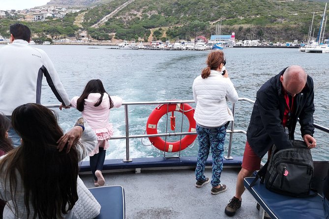 Private Tour: Cape of Good Hope Cape Point Penguins Kirstenbosch - Hout Bay and the optional Seal Island boat