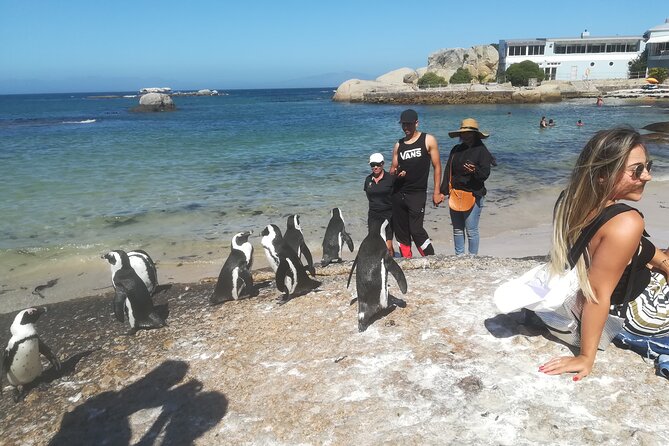Private Tour : Cape of Good Hope,Penguin Colony& Muizenberg Beach - Hout Bay offers a choice of harbor or seal trip