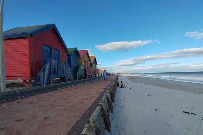 Private Tour : Cape of Good Hope,Penguin Colony& Muizenberg Beach - Chapman’s Peak Drive is the scenic heart of the route