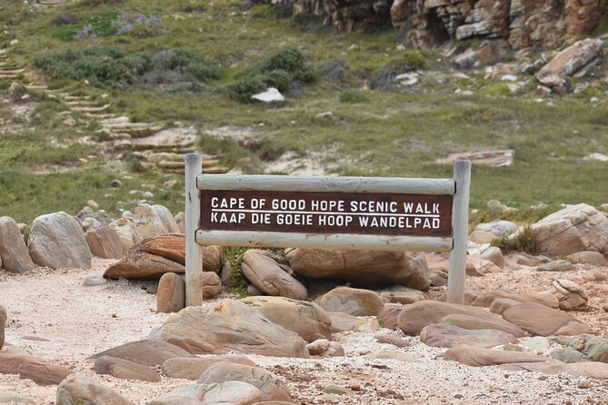 Private Tour Cape of Good Hope & Penguins Sightseeing Full day - Boulders Beach gives the day its wildlife payoff