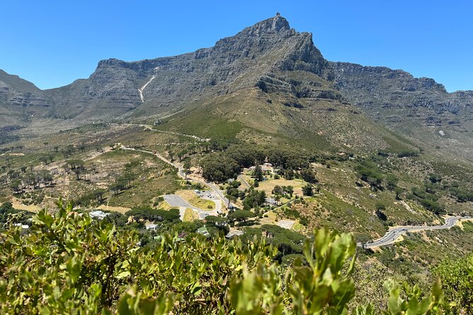 Private Tour:Cape Peninsula &Penguin Beach, Cape Point &more - Boulders Beach and the African penguins
