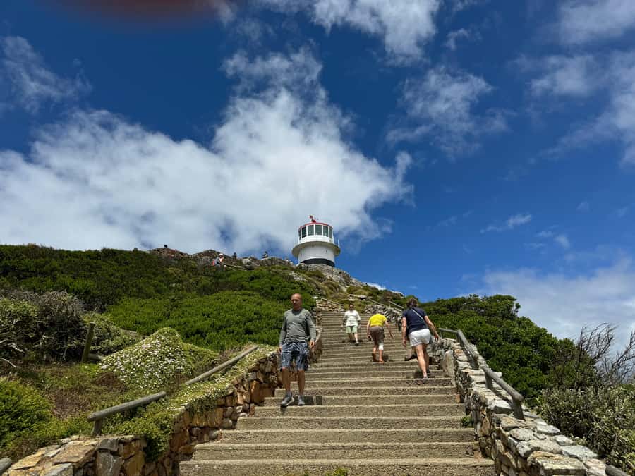 Private Tour: Cape Point, Penguins, Chapmans Peak & more... - Key points to know before booking