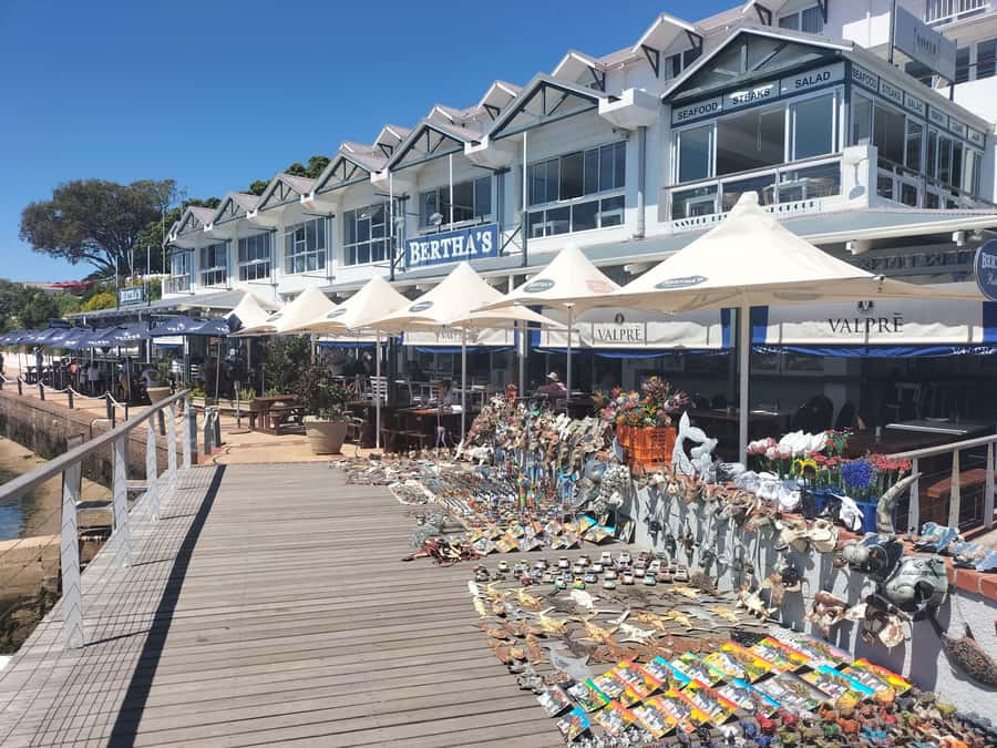 Private Tour: Cape Point, Penguins, Chapmans Peak & more... - Cape Point and the Cape of Good Hope