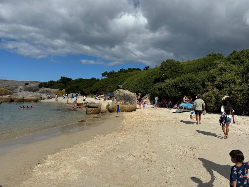 Private Tour: Cape Point, Penguins, Chapmans Peak & more... - Simons Town, lunch, and Just Nuisance