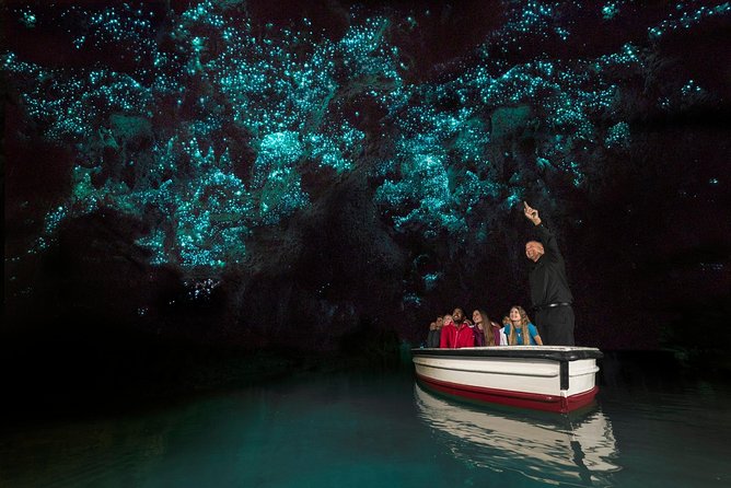 Private tour from Auckland - Waitomo Glowworm Caves, Zealong Tea & Kiwi Bird - Otorohanga Kiwi House brings New Zealand wildlife close
