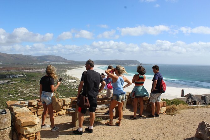 Private Tour from Cape Town To Cape of Good Hope Penguins Plus Wine Tasting F/D - Why this private peninsula tour works