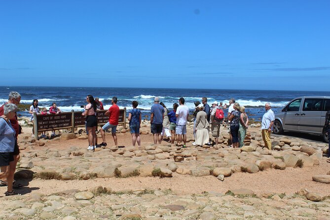 Private Tour from Cape Town To Cape of Good Hope Penguins Plus Wine Tasting F/D - Hout Bay: harbor life and the option of Seal Island