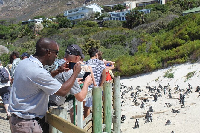 Private Tour from Cape Town To Cape of Good Hope Penguins Plus Wine Tasting F/D - Cape Point: cliffs, lighthouses, and sea routes