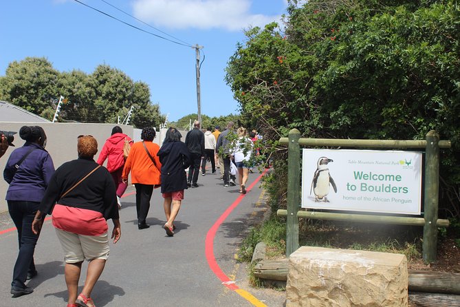 Private Tour from Cape Town To Cape of Good Hope Penguins Plus Wine Tasting F/D - Cape of Good Hope: wildlife in the fynbos