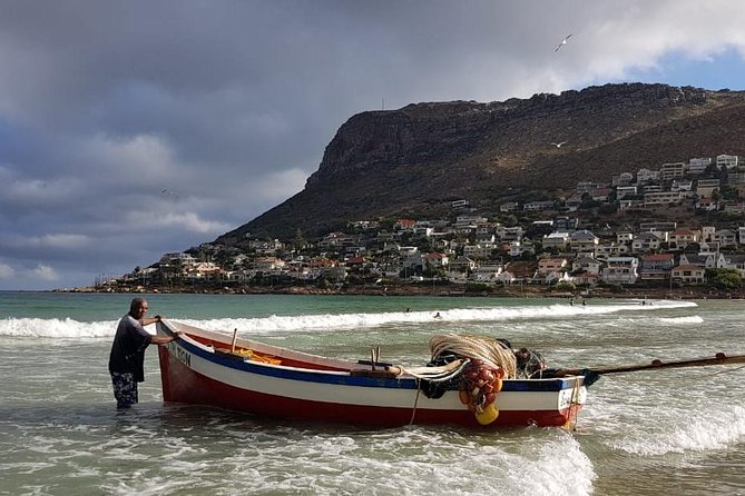Private Tour Of Penguins, Cape Of Good Hope & Peninsula. - Noordhoek Farm Village feels local and informal