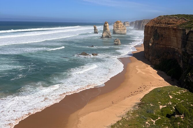 [Private Tour] “Penguin Parade” Phillip Island Tour. - Who Will Get the Most From This Tour?