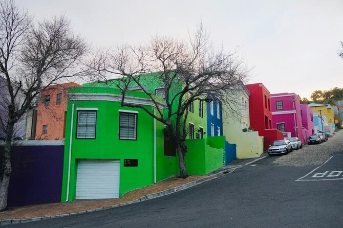 Private Tour: Penguins, Cape Point and Cape of Good Hope - Why this private Cape Peninsula tour works