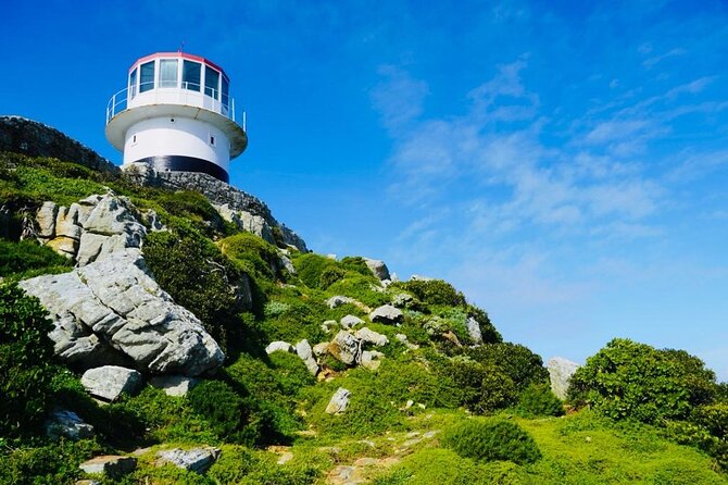 Private Tour: Penguins, Cape Point and Cape of Good Hope - Seal Island adds wildlife, with one important condition