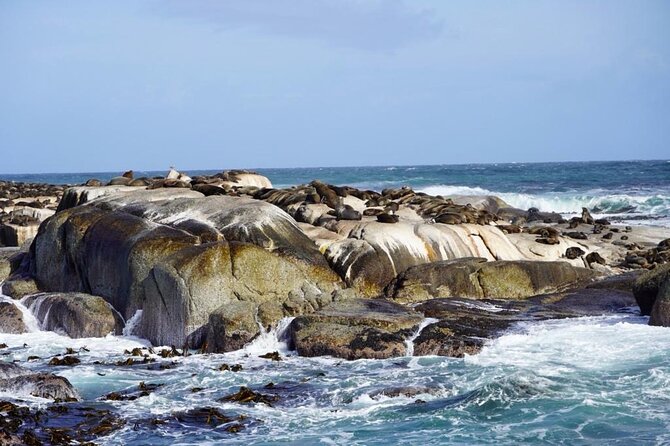 Private Tour: Penguins, Cape Point and Cape of Good Hope - Cape of Good Hope puts the day in perspective