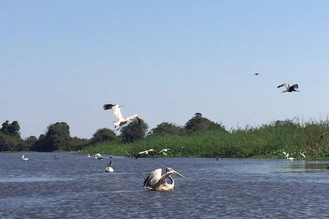 Private Tour Prek Toal Bird Sanctuary Off Beaten Track - Key points to know before you book