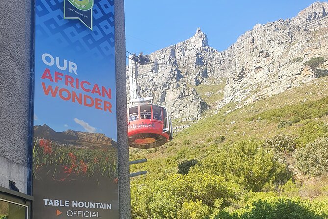 Private Tour: Table Mountain Boulder's Beach Penguin Cape Point - Camps Bay and Maidens Cove bring the postcard views