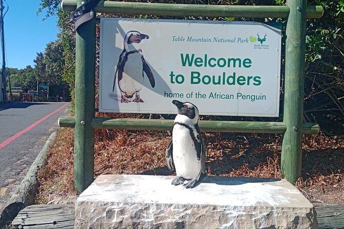 Private Tour: Table Mountain Boulder's Beach Penguin Cape Point - Hout Bay offers a choice, not a compulsory extra