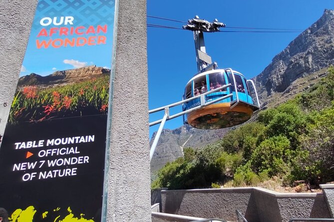 Private Tour:,Table Mountain ,Cape of Good hope & Penguins colony - Key points before you book