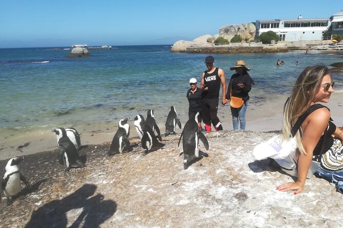 Private Tour:,Table Mountain ,Cape of Good hope & Penguins colony - Starting from Cape Town Central at 8:00 a.m.