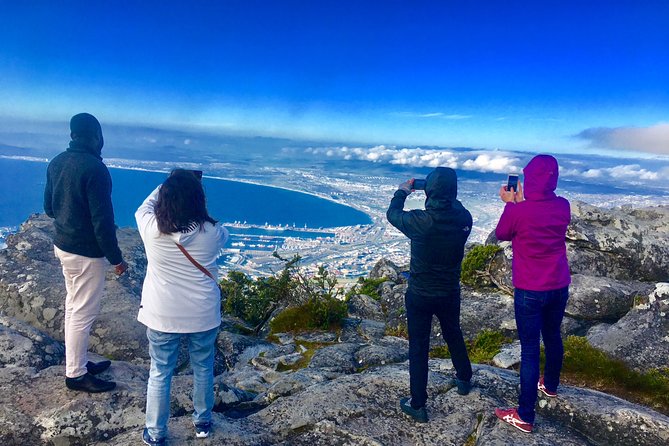 Private Tour: Table Mountain, Penguin Colony & Cape of Good Hope incl. Park Fees - One private day from Cape Town to the peninsula