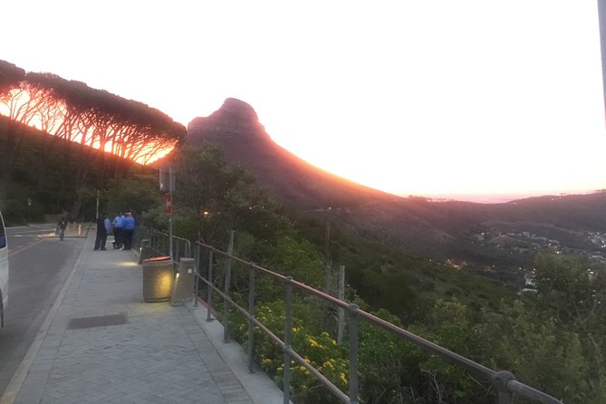 Private Tour: Table Mountain, Penguin Colony & Cape of Good Hope incl. Park Fees - Cape Point Vineyards, lunch, and the cost of optional extras