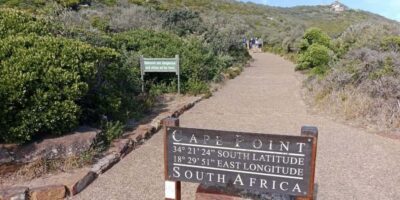 Private Tour: Table Mountain, Penguins Colony & Cape Of Good