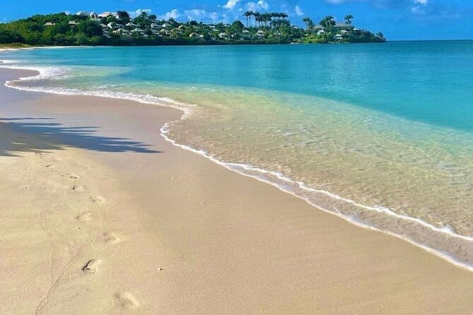 Private Transfer from VC Bird International Airport Antigua - Accessibility, animals, and participation
