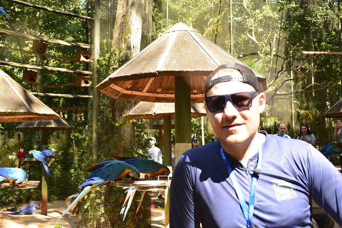 Private transport with guide to Brazil Falls + Bird Park - Starting early from central Foz do Iguaçu