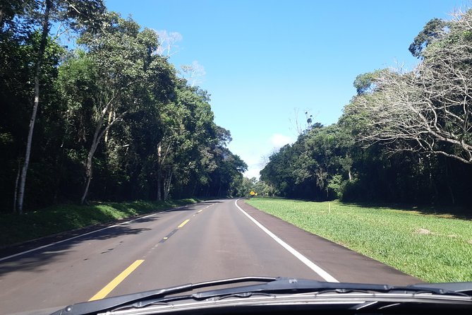 Private transport with guide to Brazil Falls + Bird Park - What the private guide adds