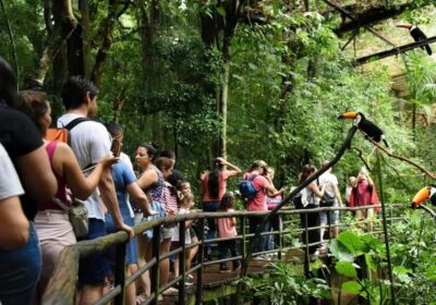 Iguaza Falls Brazilian Side & Bird Park Tour