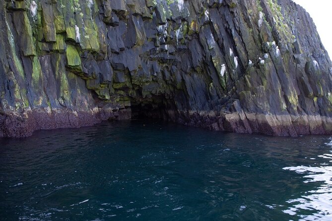 Puffin and Wildlife Boat Tour - Who will get the most from this tour?