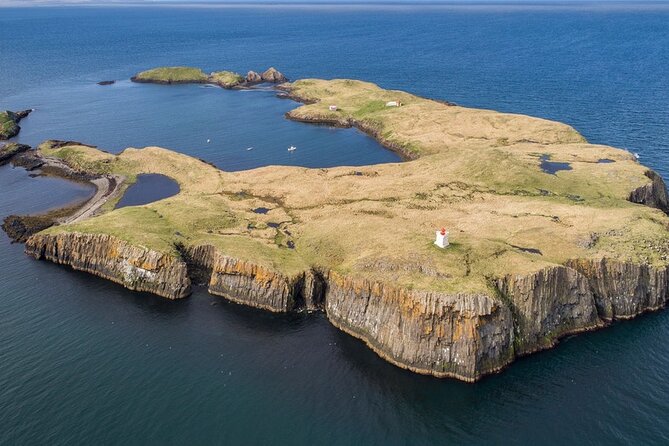 Puffin and Wildlife Boat Tour - Should you book the puffin boat tour?