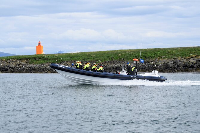 Puffin Express by RIB Speedboat from Reykjavík - Key points to know before booking