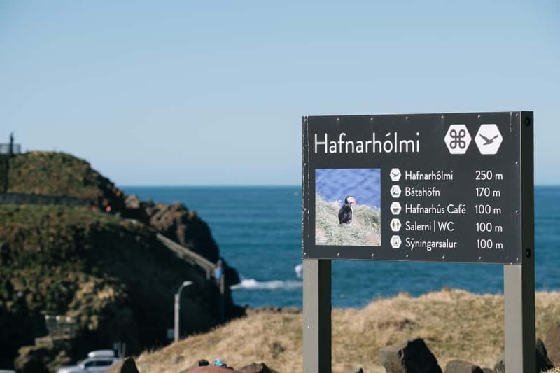 Puffin & Gufufoss Waterfall Tour from Seydisfjordur Port - Practical advice before you go