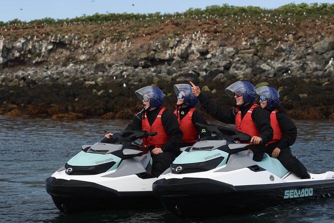 Puffin Jet ski tour in Reykjavík - Starting at Gufunesvegur in Reykjavík