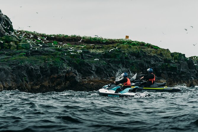 Puffin Jet ski tour in Reykjavík - What the jet ski portion is really like
