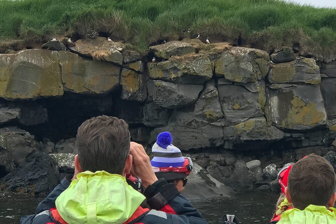 Puffin Watching Speedboat Express - Is $76 good value?