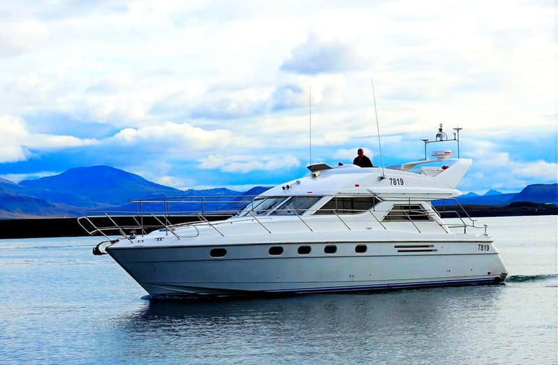 Puffin Watching Yacht Cruise from Downtown Reykjavík - FAQ