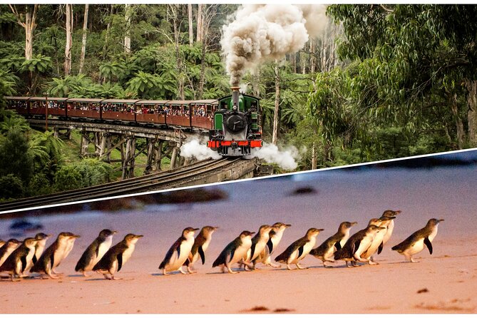 Puffing Billy and Penguin Parade Day Tour From Melbourne - Key points before you book