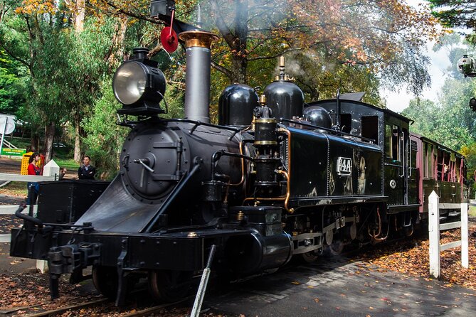 Puffing Billy And Phillip Island Penguin Parade Bus Tour - Why this tour makes sense from Melbourne