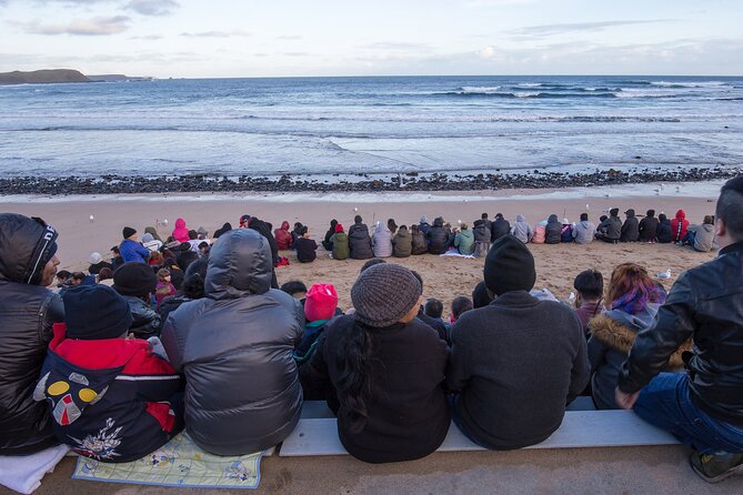 Puffing Billy And Phillip Island Penguin Parade Bus Tour - Waiting for the little penguins