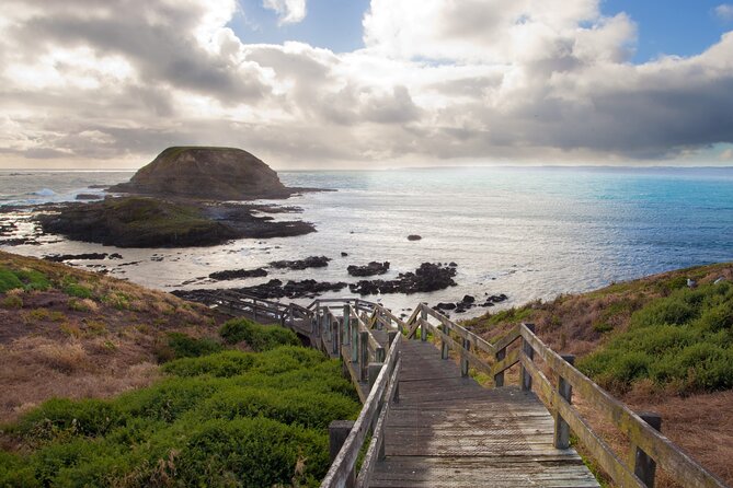 Puffing Billy And Phillip Island Penguin Parade Bus Tour - Is $171.42 good value?