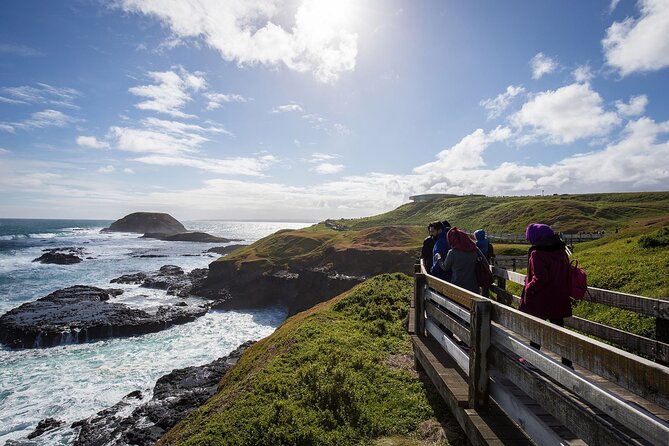 Puffing Billy And Phillip Island Penguin Parade Bus Tour - Who should book this day trip?