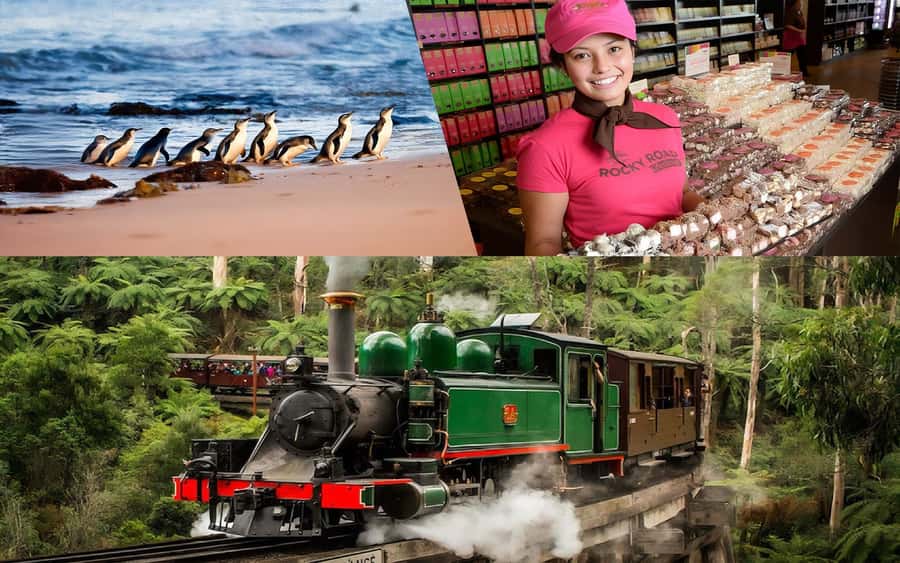 Puffing Billy Penguin Parade Winery Chocolaterie All-in-One - Key points to know before booking