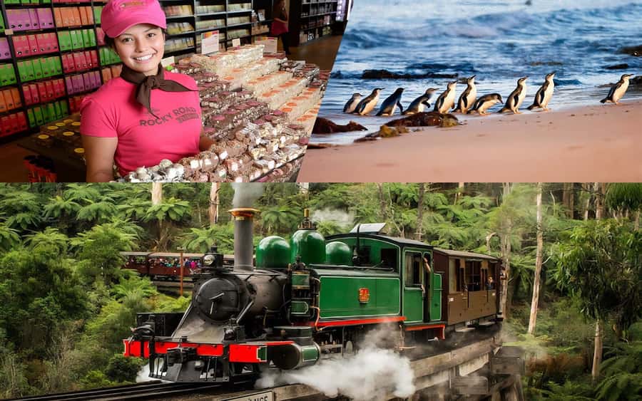 Puffing Billy Penguin Parade Winery Chocolaterie All-in-One - A big day linking the Yarra Valley and Phillip Island