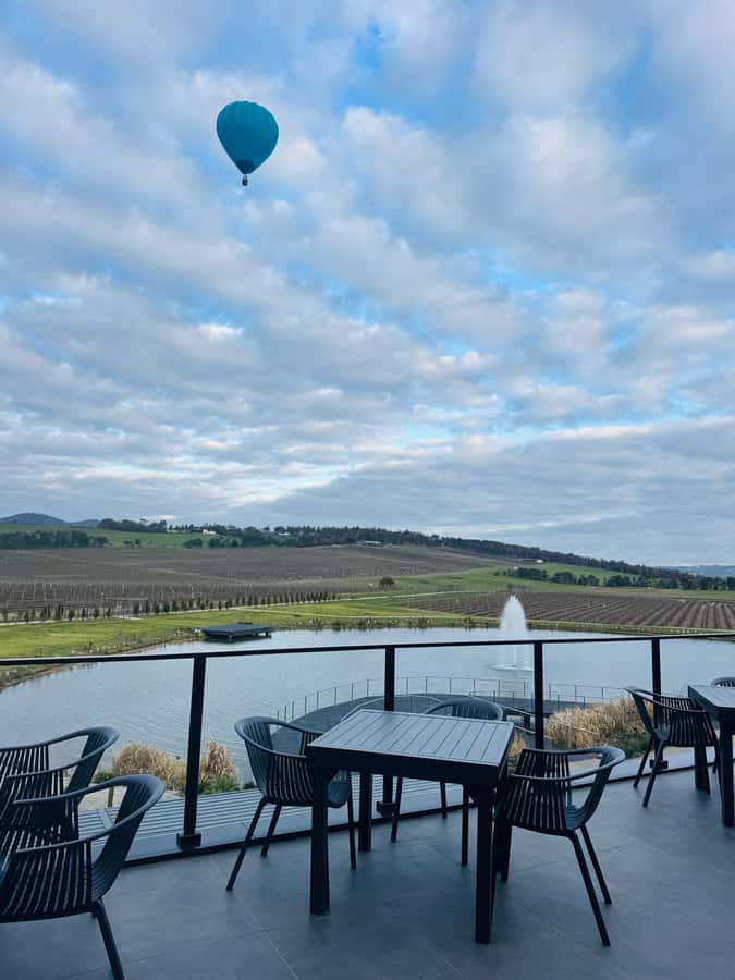 Puffing Billy Penguin Parade Winery Chocolaterie All-in-One - Is the AU$120 price fair?