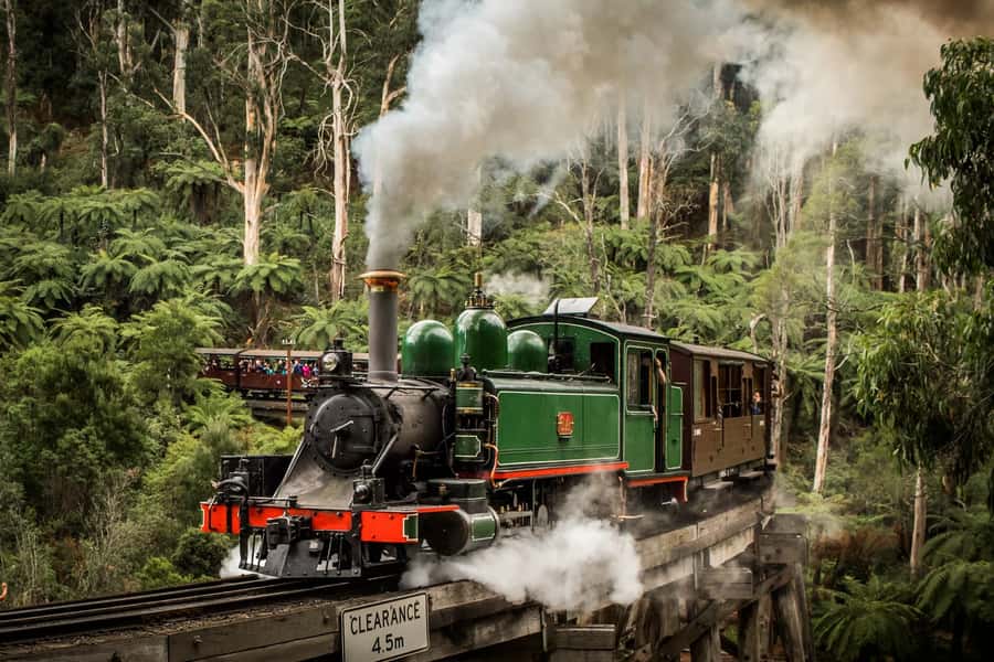 Puffing Billy Penguin Parade Winery Chocolaterie All-in-One - Starting sweet at the Yarra Valley Chocolaterie