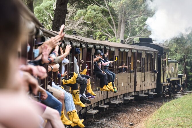 Puffing Billy Steam Train and Penguins Wildlife Tour - Key points to know before you book