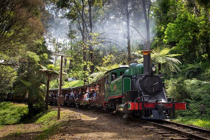Puffing Billy Steam Train and Penguins Wildlife Tour - Why this Melbourne day trip works
